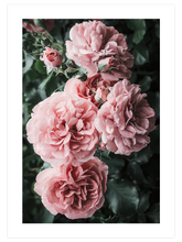 Bloom De Fleurs - Art Print